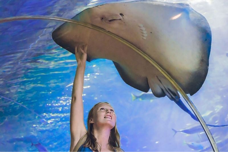 Deep Blue at Hurghada Grand Aquarium