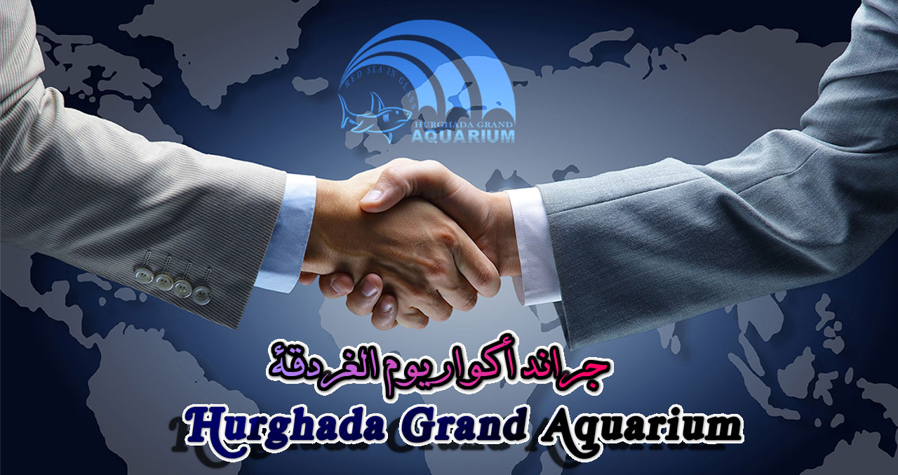 About Hurghada Grand Aquarium