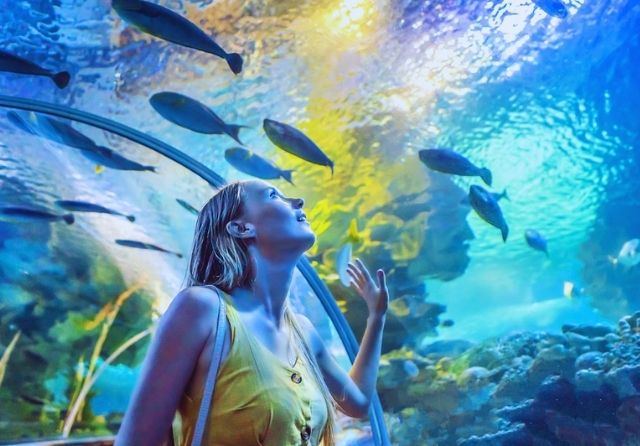 Marine Species Exhibits