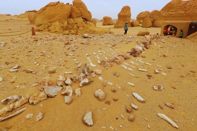 Geological Formations